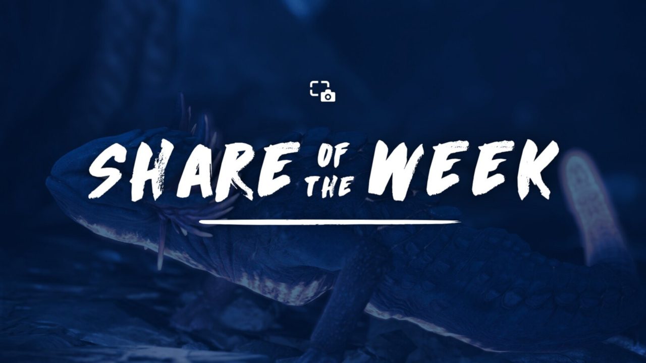 Share of the Week: Animals