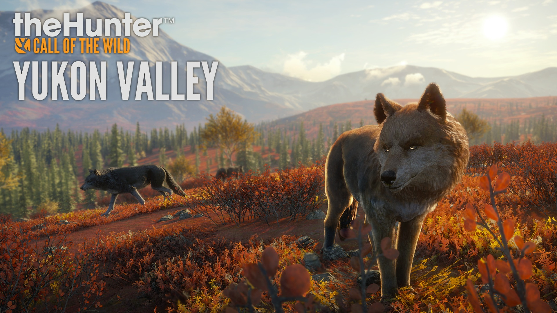 New Reserve Yukon Valley is Bringing Gray Wolves and More to theHunter: Call of the Wild